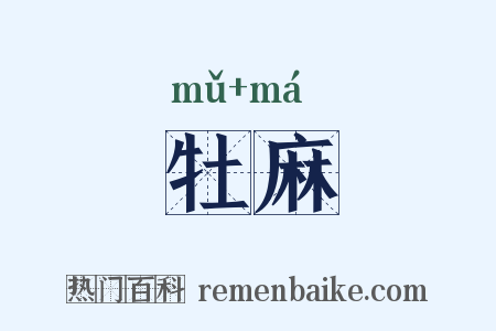 牡麻是什么意思的图片